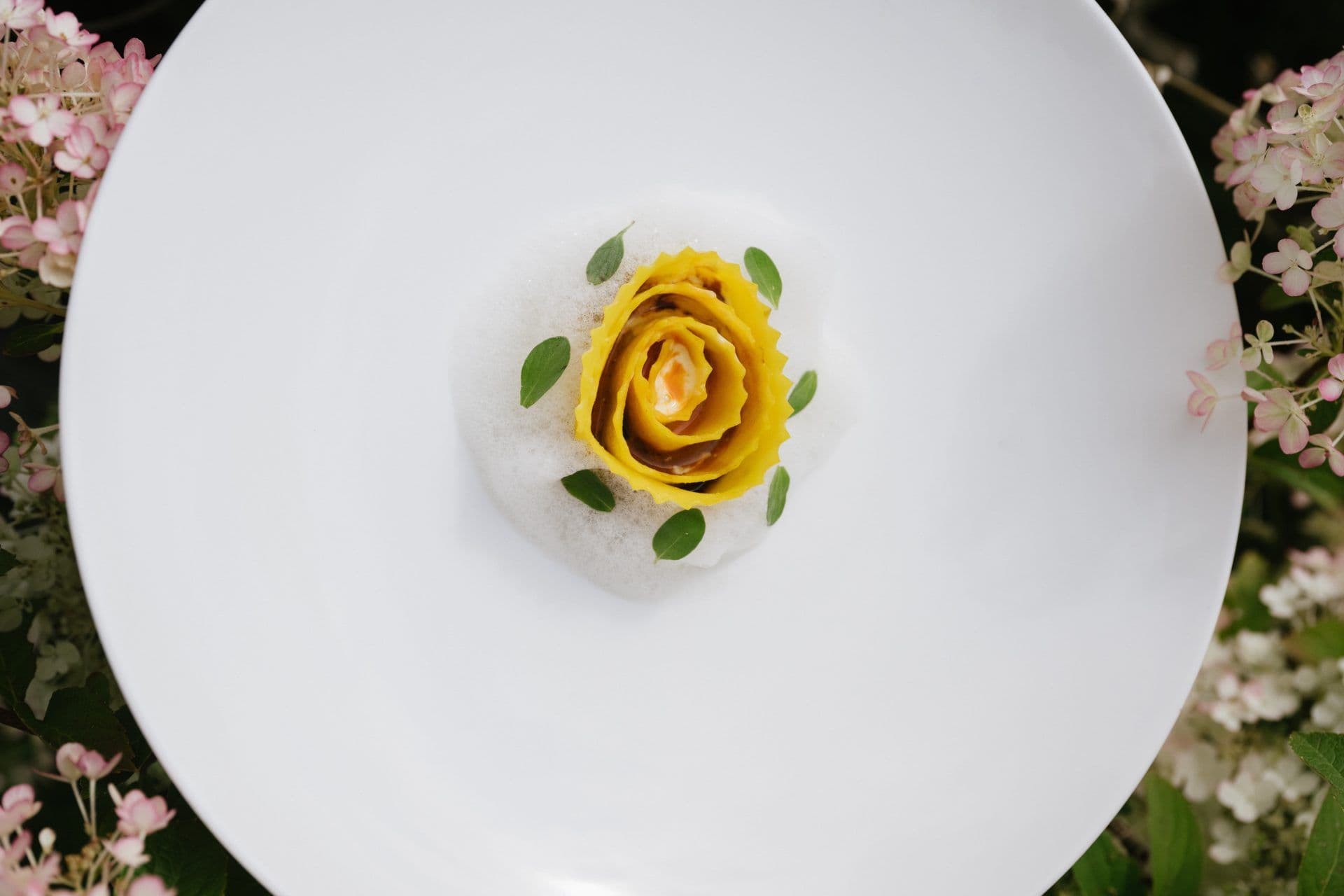 Biohotel Hermitage gallery 2