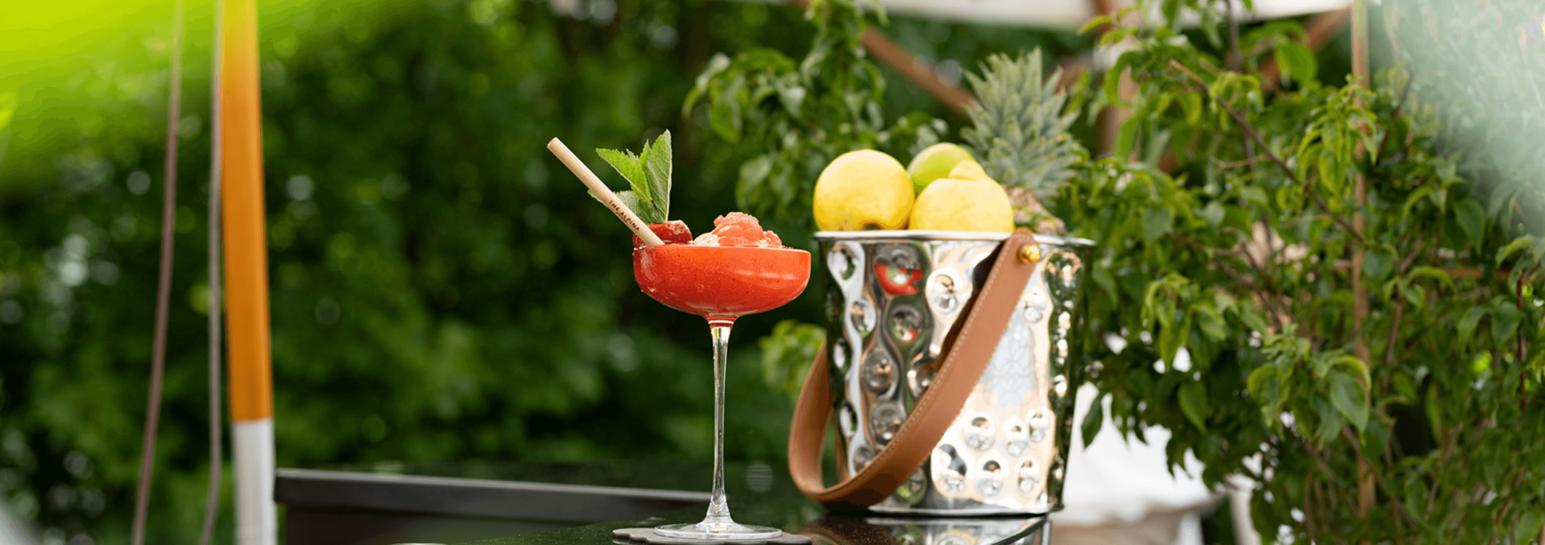 The Alpina Gstaad gallery 3