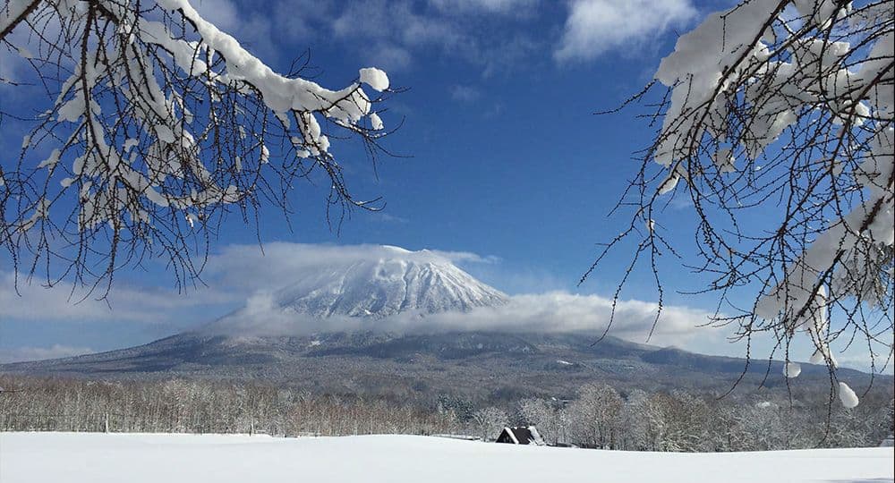 Andaru Collection Niseko gallery 4