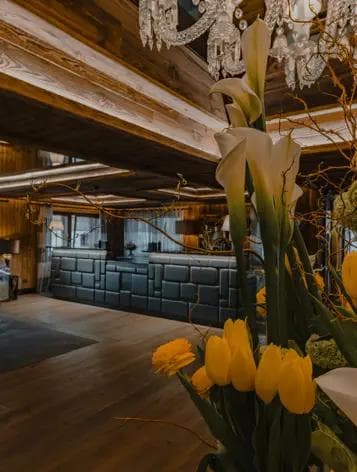 Ultima Gstaad gallery 5