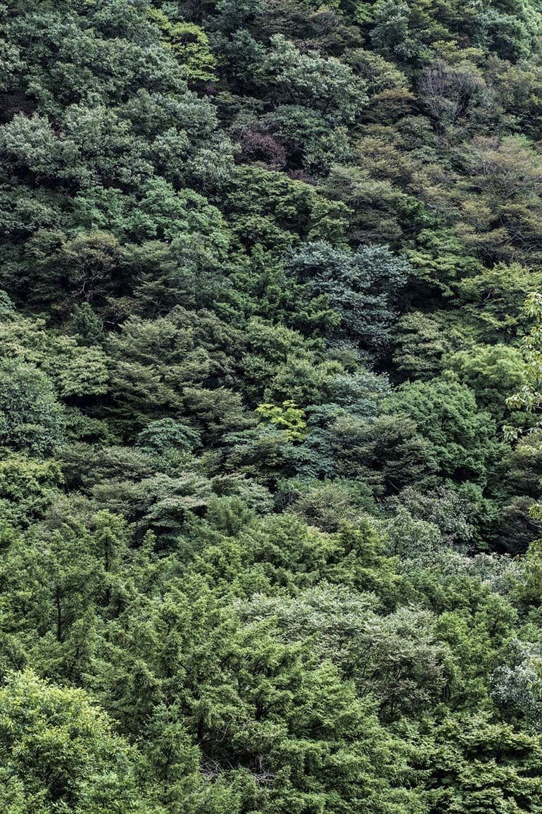 Maison Aribert gallery 1