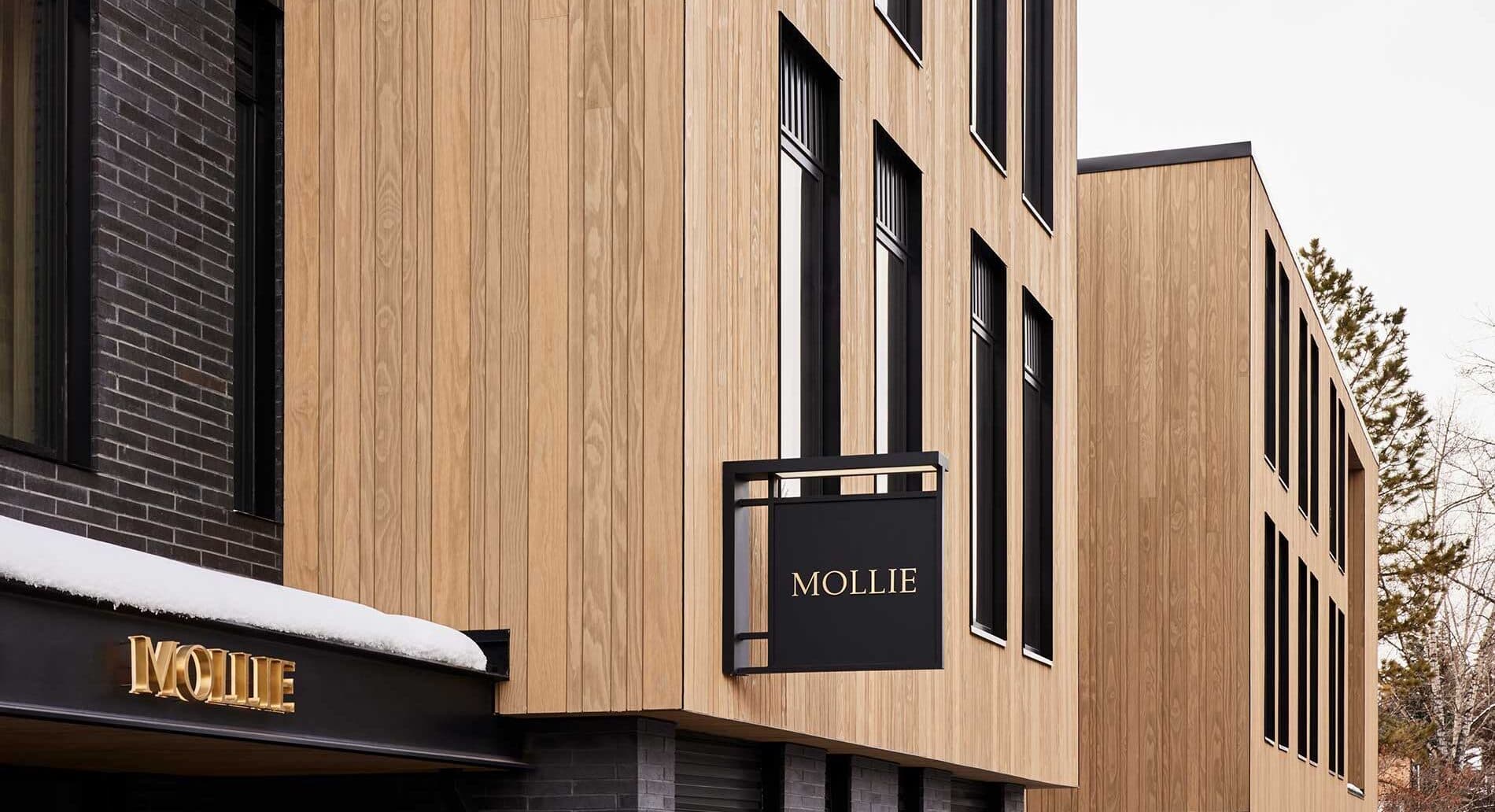 Mollie Aspen gallery 4