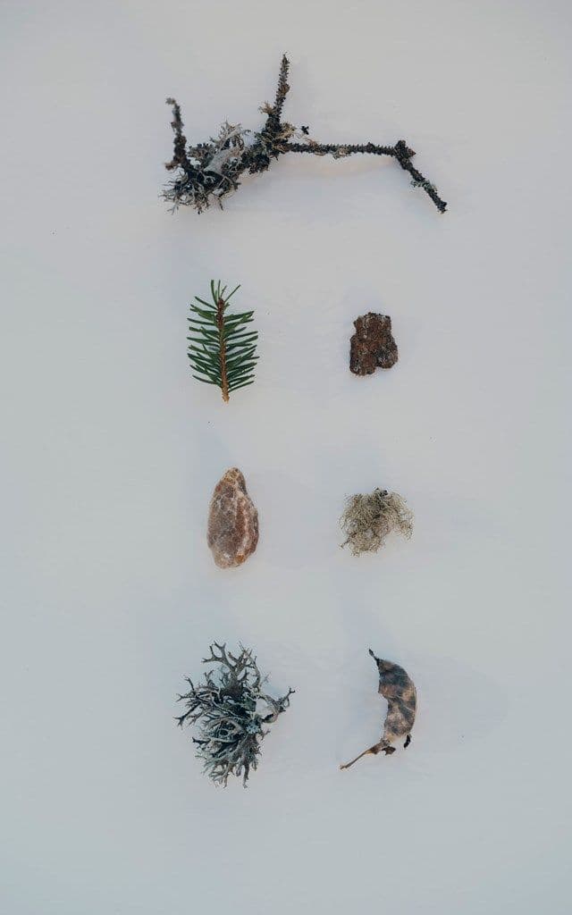 Forestis Dolomites gallery 4