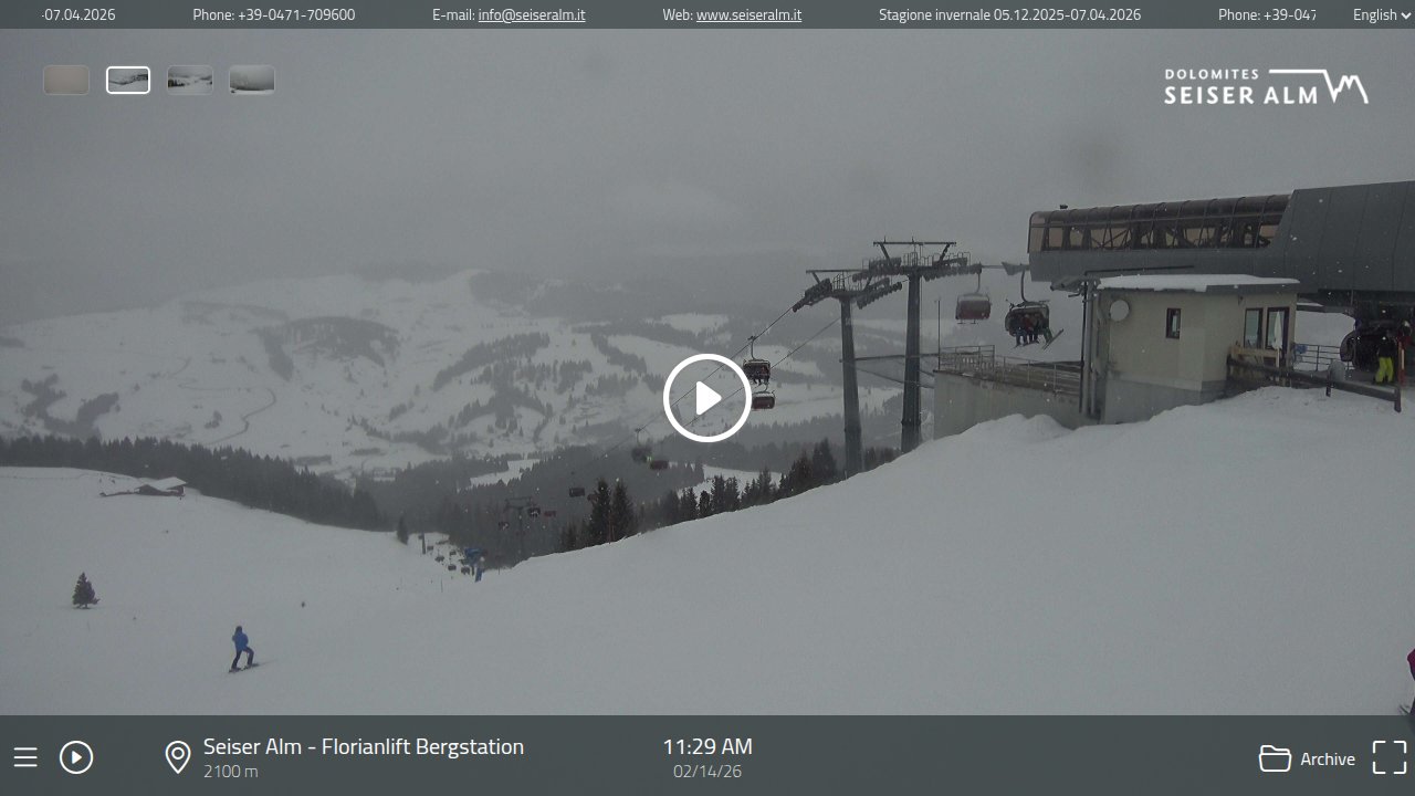 Seggovia Florian Live