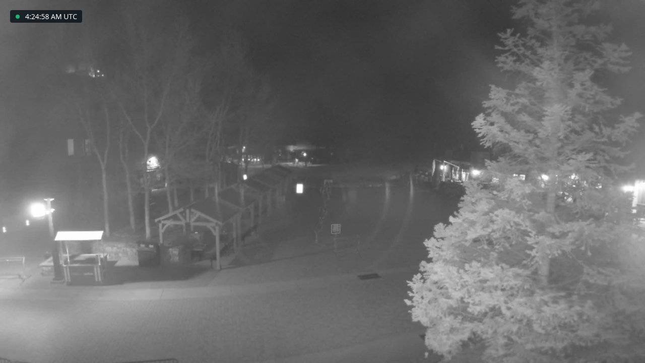 Exhibition Lift Line