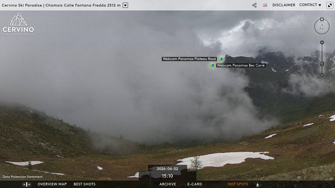 Chamois