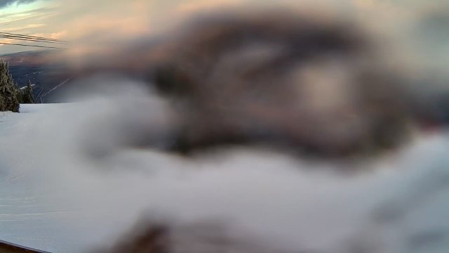Summit